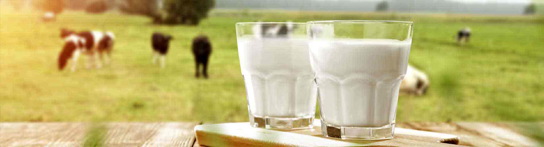 Пейте молоко и живите долго!