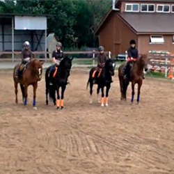 Котильон на лошадях в «КФХ Ольгино»